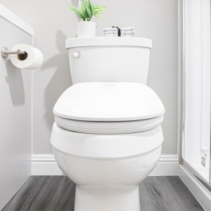Bidet Seat|Heated Toilet Fluidmaster